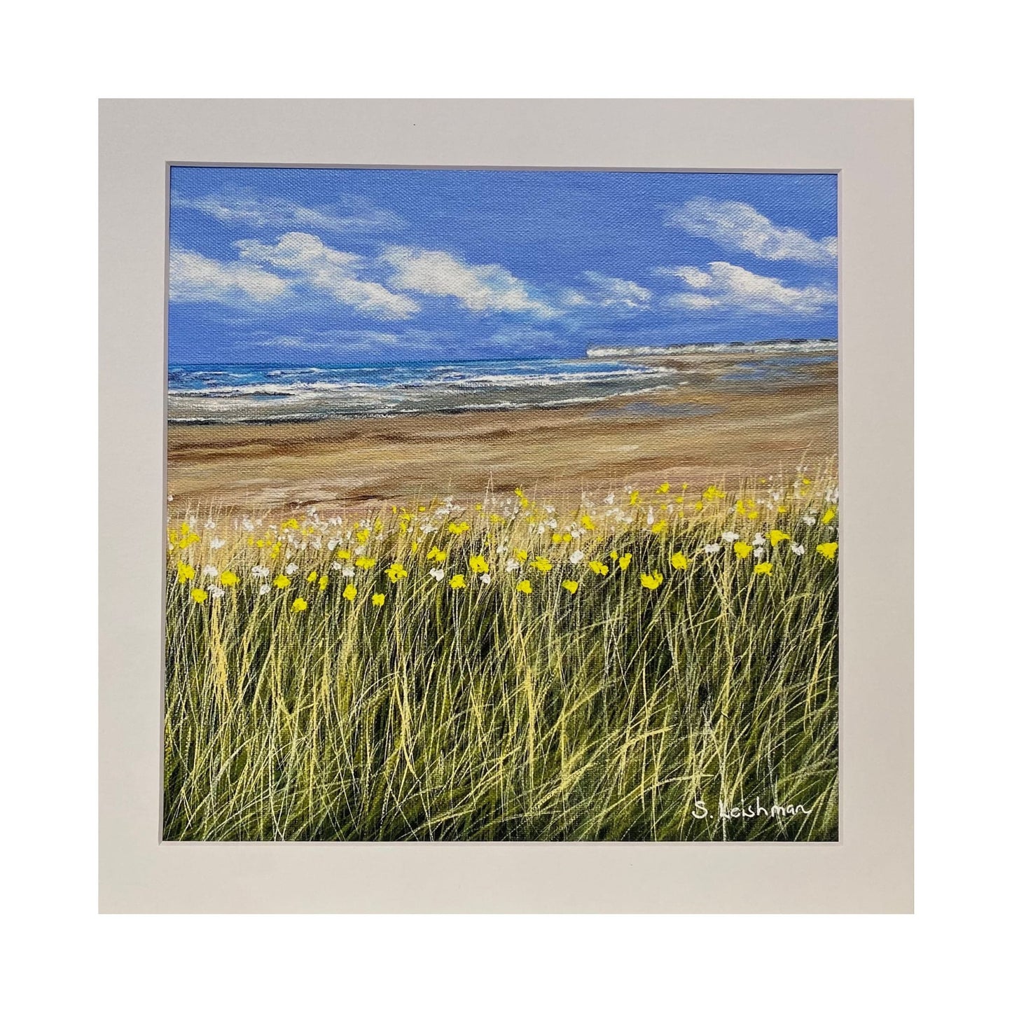 Wild Flowers, Troon - Giclee Print by Susan Leishman
