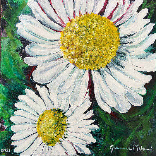 Daisies