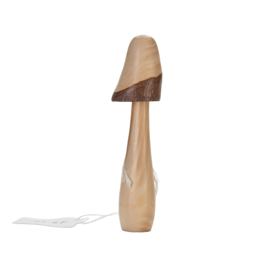 Rustic Wooden Forest Mushroom – Bark Rim Detail