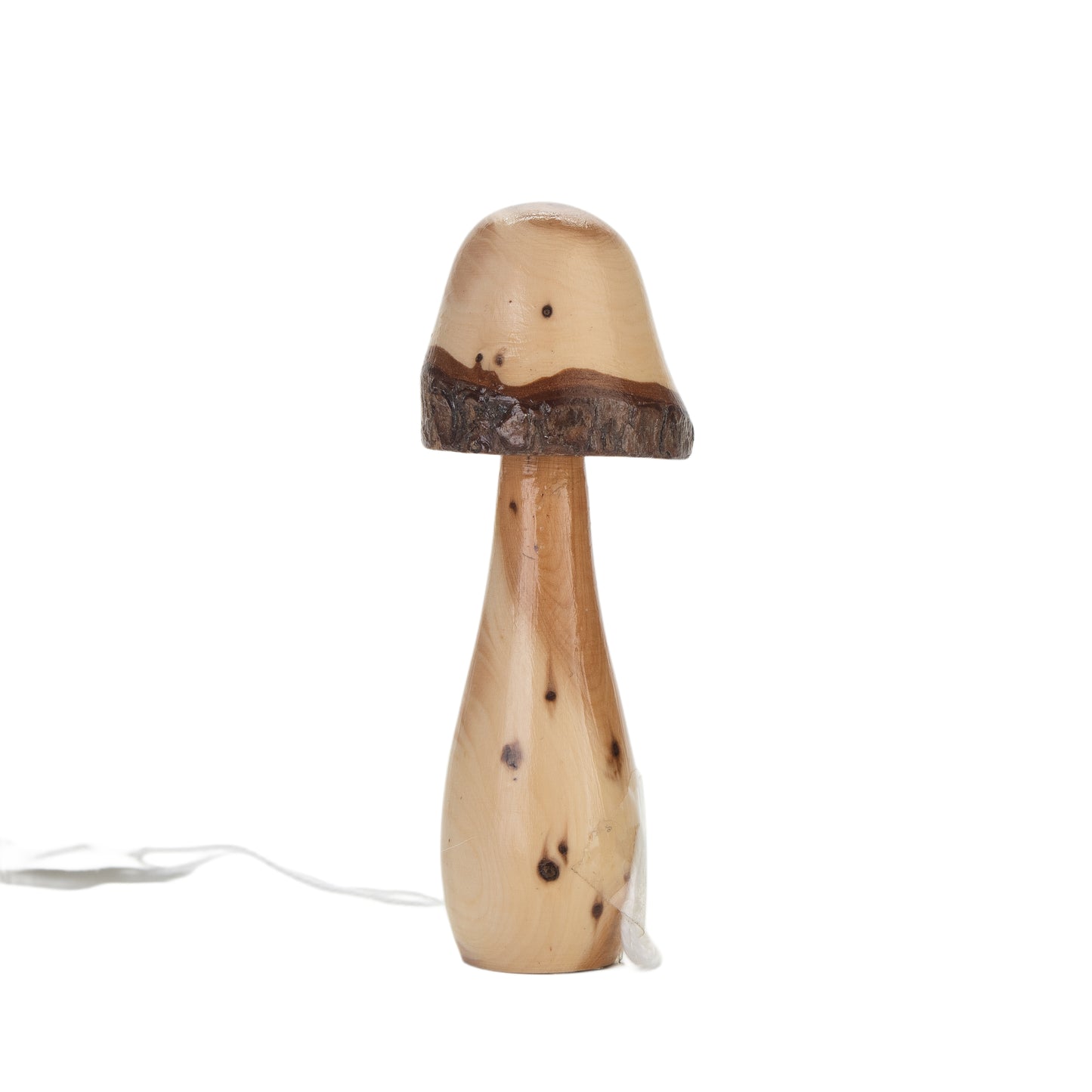 Rustic Wooden Forest Mushroom – Bark Rim Detail