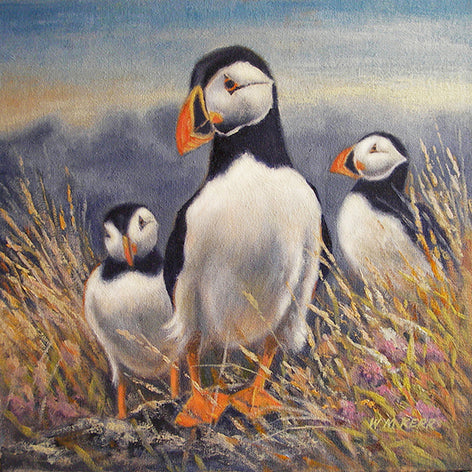 Three Puffins